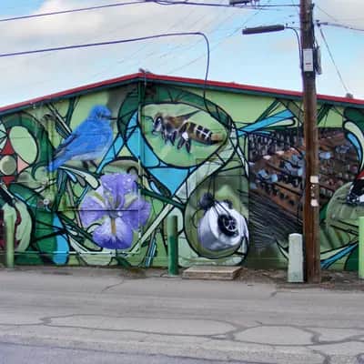 "Garden of Creativity" by SectorSeventeen in Boise