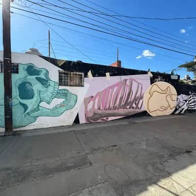 "Esqueleteo Borracho" by Seth Bishop in Oaxaca