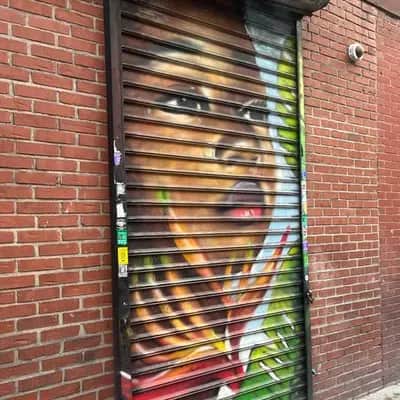 "Portrait on Rolling Gate" by Andre Trenier in New York