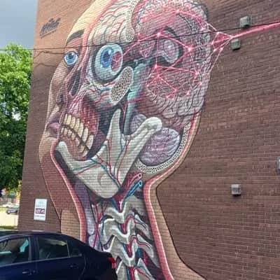 "Nychos at 610 South 4th Street" by Nychos in Champaign