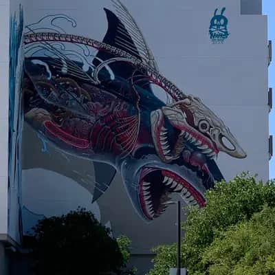 "Anatomical Shark Dissection Mural" by Nychos in San Jose