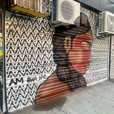 "Portrait on Security Gate" by Alice Mizrachi in New York