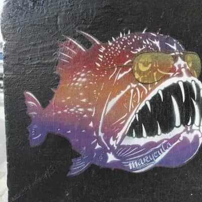 "Cosmic Anglerfish Street Art" by Marycula in Hamburg