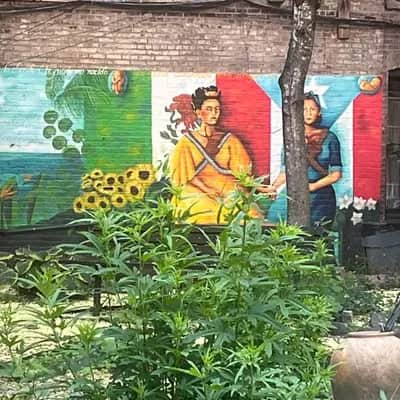 "Indigenous Heritage Mural" by Yasmin Hernandez in New York