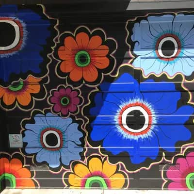 "Flower power" in San Francisco