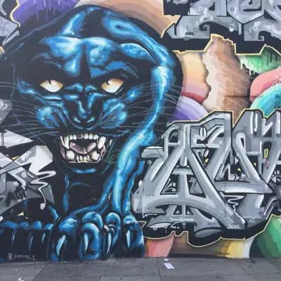 "Black panther" in San Francisco
