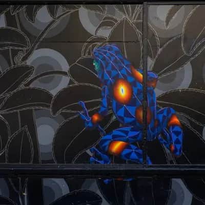 "Psychedelic frog" by Jet Martinez in San Francisco