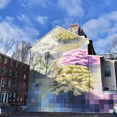 "Spring" by David Guinn in Philadelphia