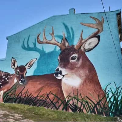 "Fawn Jawn" by Evan Lovett in Philadelphia