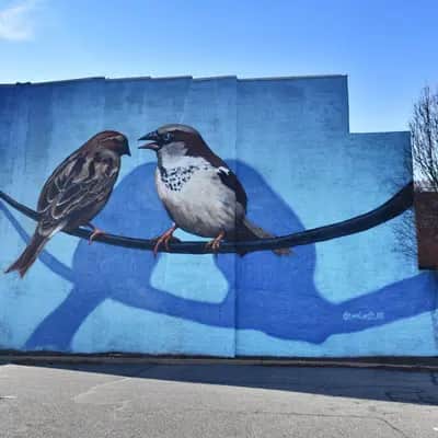 "Two Birds on Wire" by Evan Lovett in Philadelphia