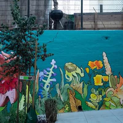 "More flowers!" by Pepe Gaka in San Francisco