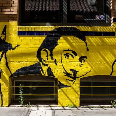 "Salvador Dalí" in San Francisco