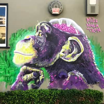 "Monkeybrains" by Mike Makatron in San Francisco