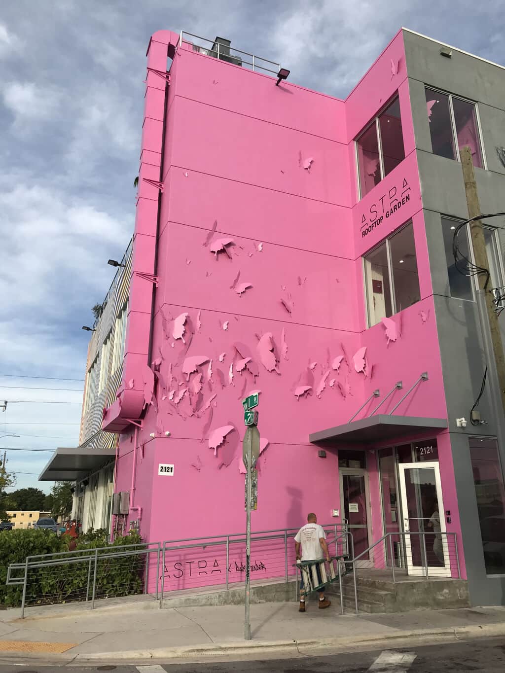"Flock of Birds in Flight" by Punk Me Tender in Miami