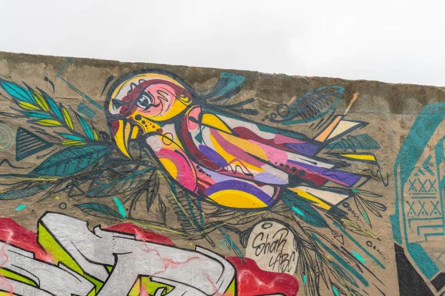 "Colorful Bird in Flight" by Luan Castilhos in Lisbon