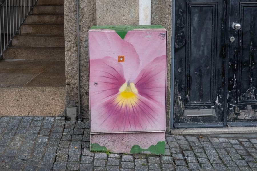 "Pink Pansy Flower Box Art" by Mura in Porto