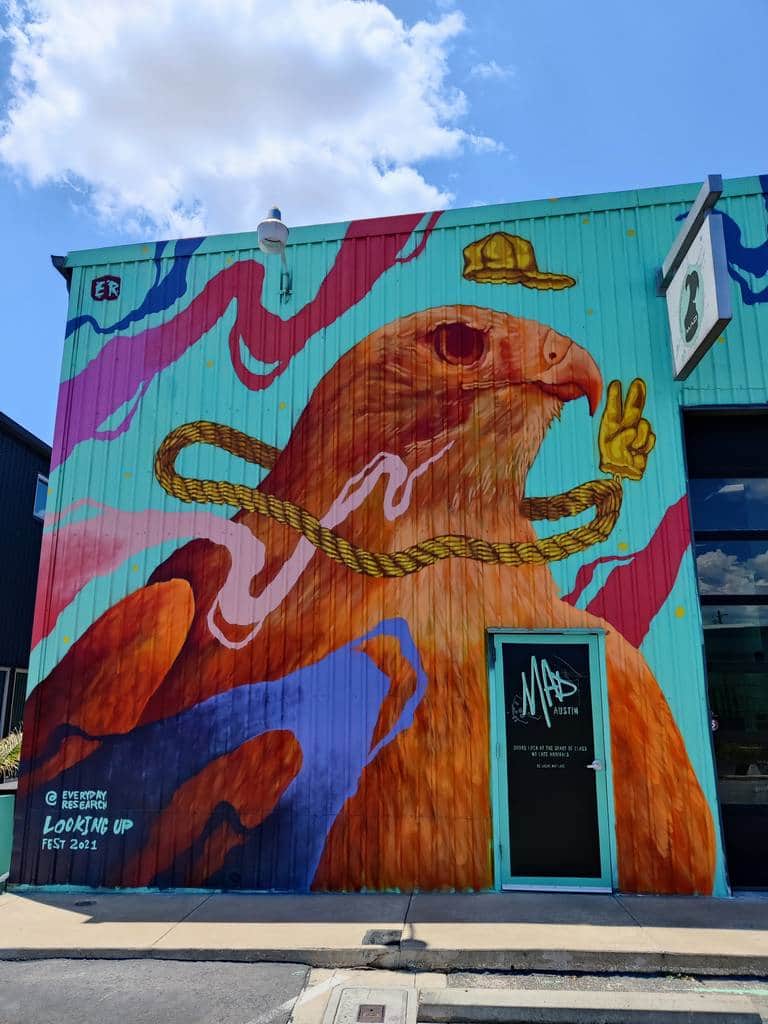 "Looking Up" by Efren Rebugio in Austin