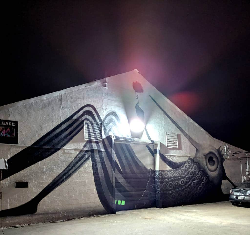 "Bird King" by Lucan Aoki in Austin
