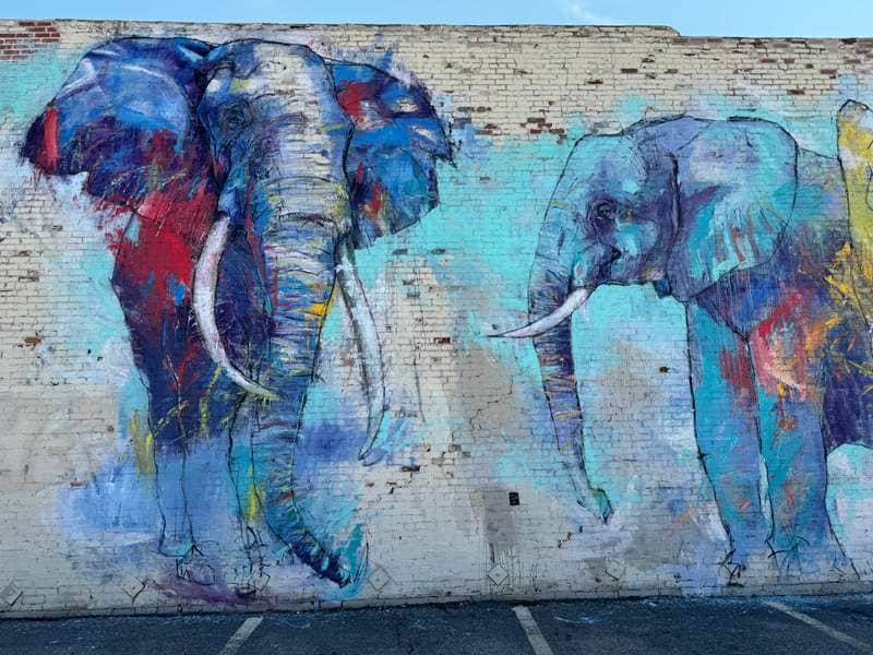 "Elephant walk" by Adrian Torres in Dallas