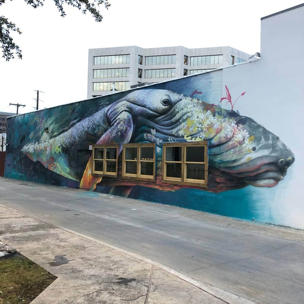 ""Whale"" by Ernesto Maranje in Dallas