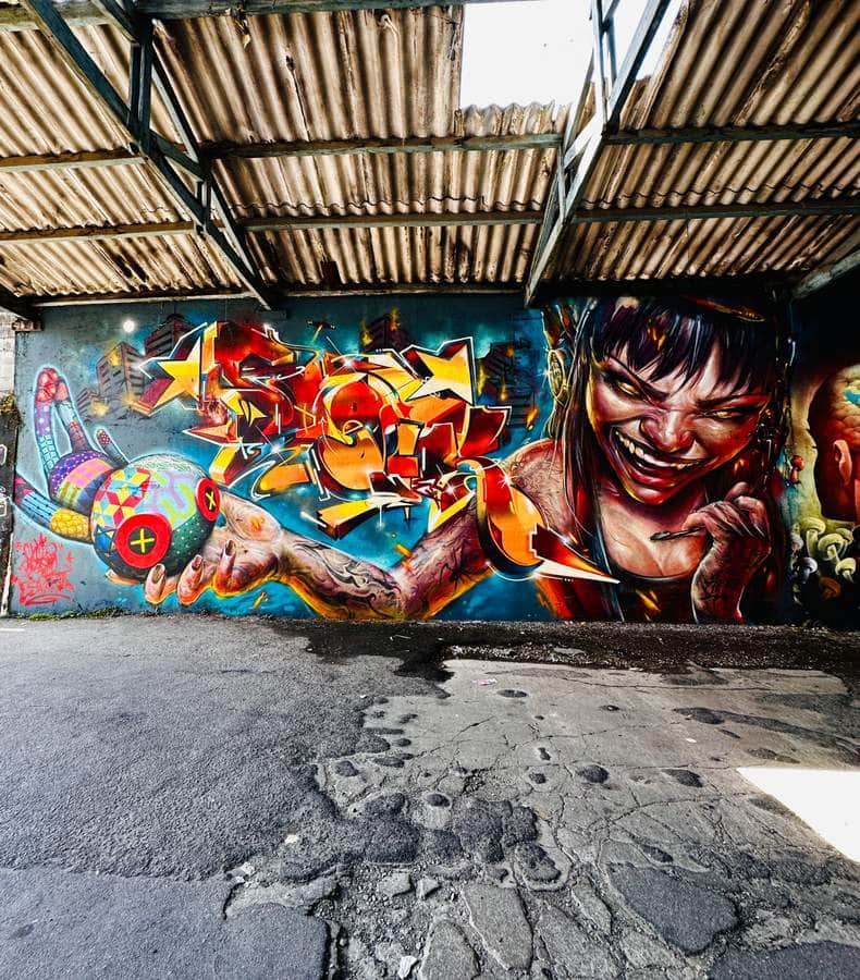 "Vibrant Graffiti with Expressive Portraiture" by Fumomiles in Sao Paulo
