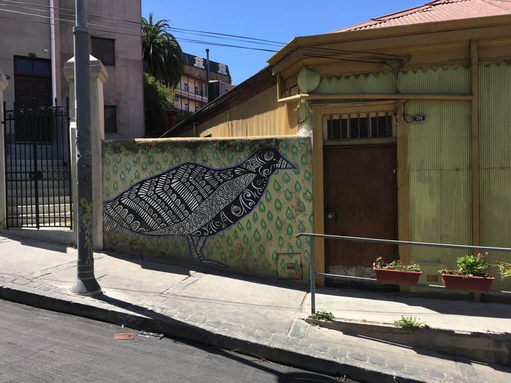 "Patterned Bird in Flight" by Juana Perez in Valparaiso