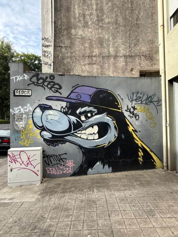 "Unknown" by Fedor in Porto