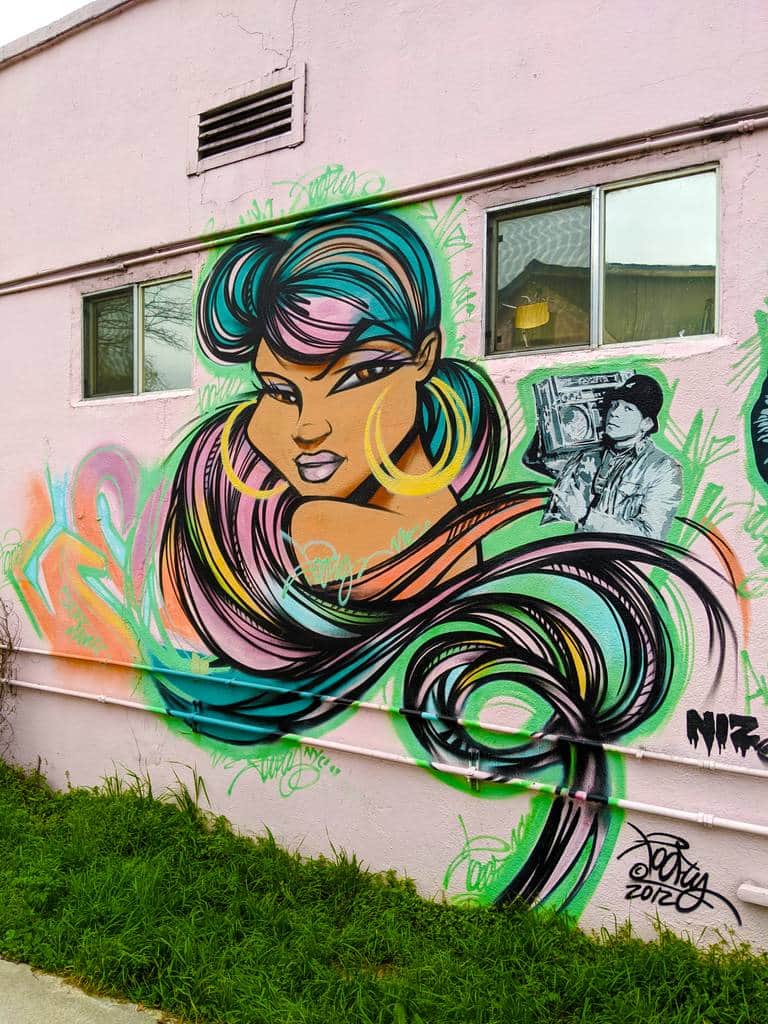 "Colorful Portrait of a Woman" by Toofly in Austin