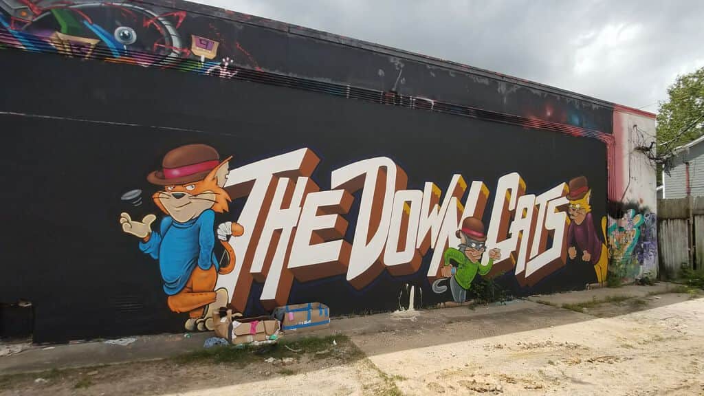 "The Down Cats" in Houston