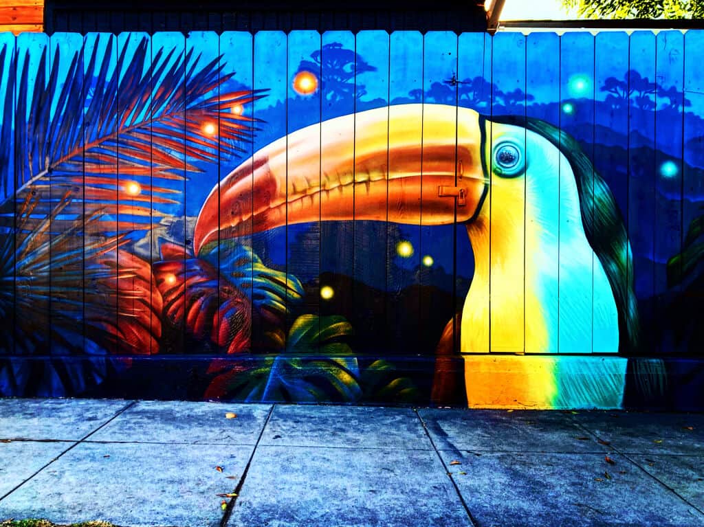 "TapShack Toucan" by Carly Ealey in Sandiego