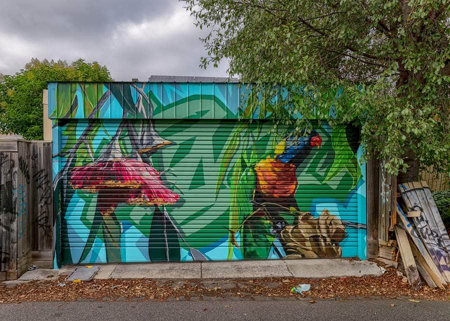 "Tropical Birds in Lush Foliage" by Ling in Melbourne