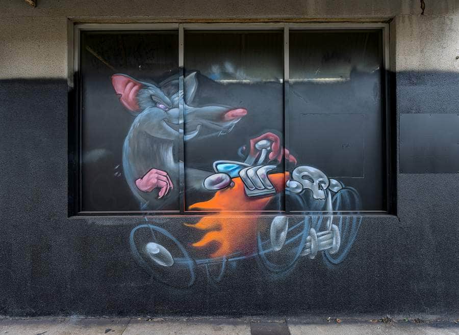 "Rat and Robot Racing" in Melbourne