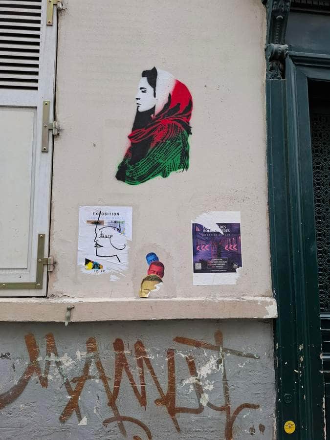 "Patriotic Portrait with Palestinian Flag" by Plan B in Paris
