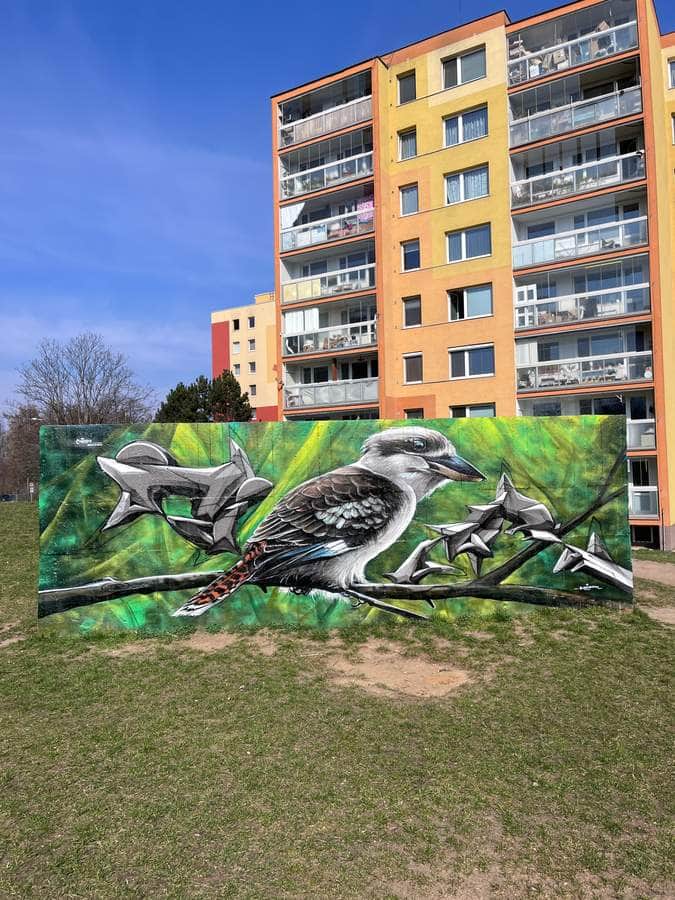 "Kookaburras in Green Foliage" by Caer8th in Prague