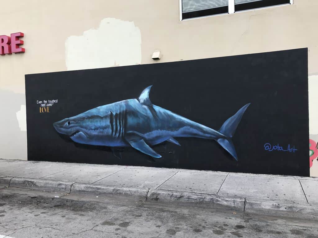 Untitled street art by Jota Villarreal in Miami