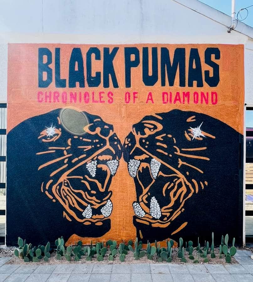 "Black Pumas" by Aaron Darling in Austin