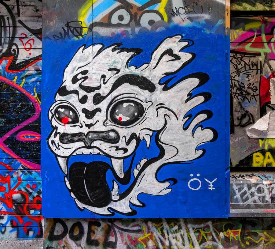 Untitled street art by Oyboogs in Melbourne