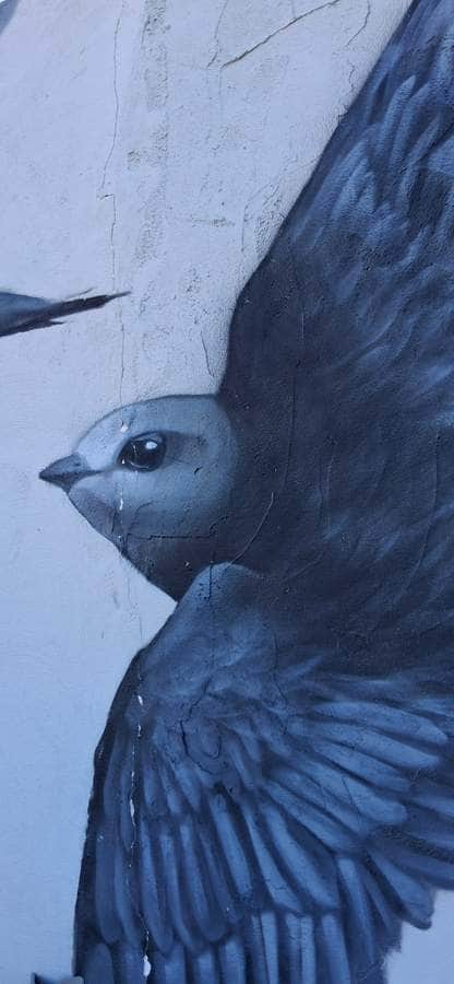 "Vencejos (Cromàpica 2024)" by dhos in Valencia
