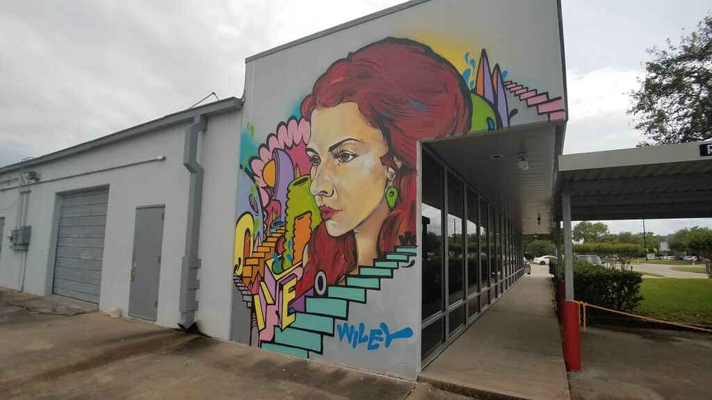 "The MUA Project" by WileyArt in Houston