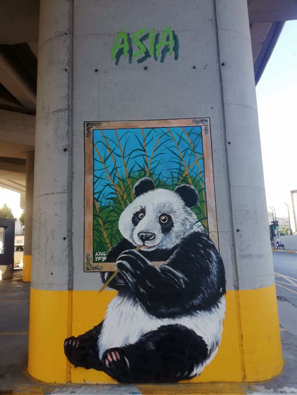 "Panda of Asia" by Axel Mengü in Istanbul