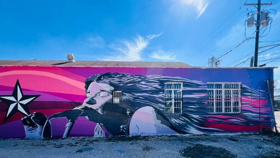 "Janis" by Niz in Austin