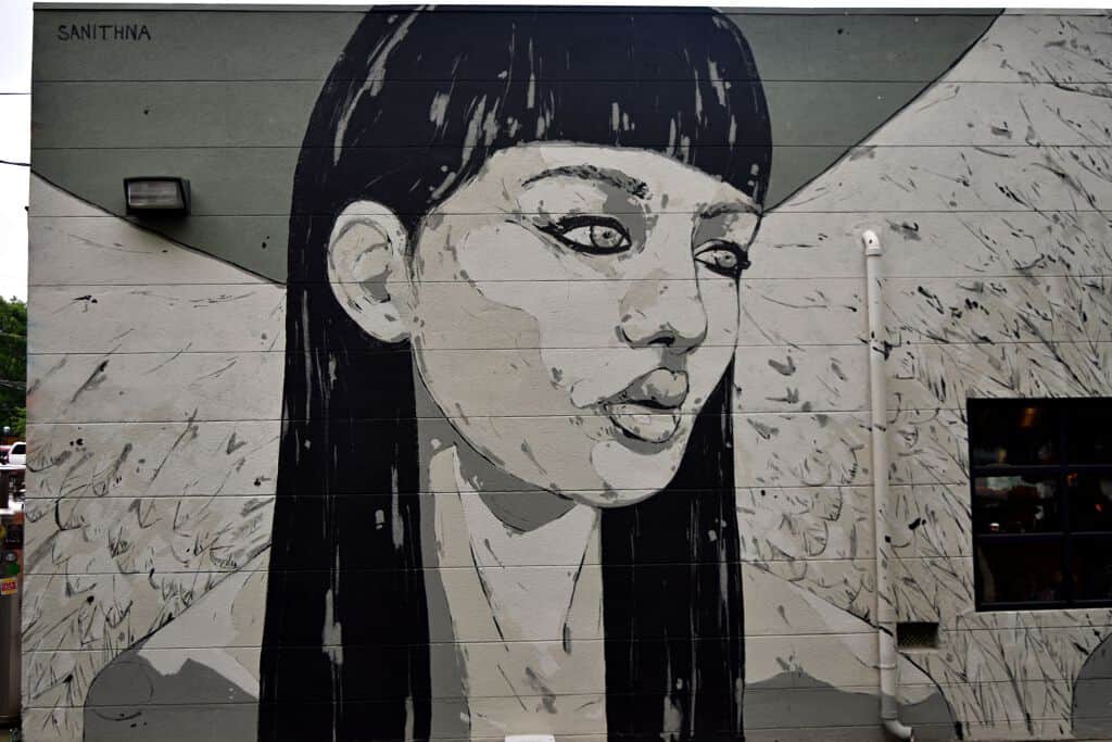 Untitled street art by Sanithna in Atlanta