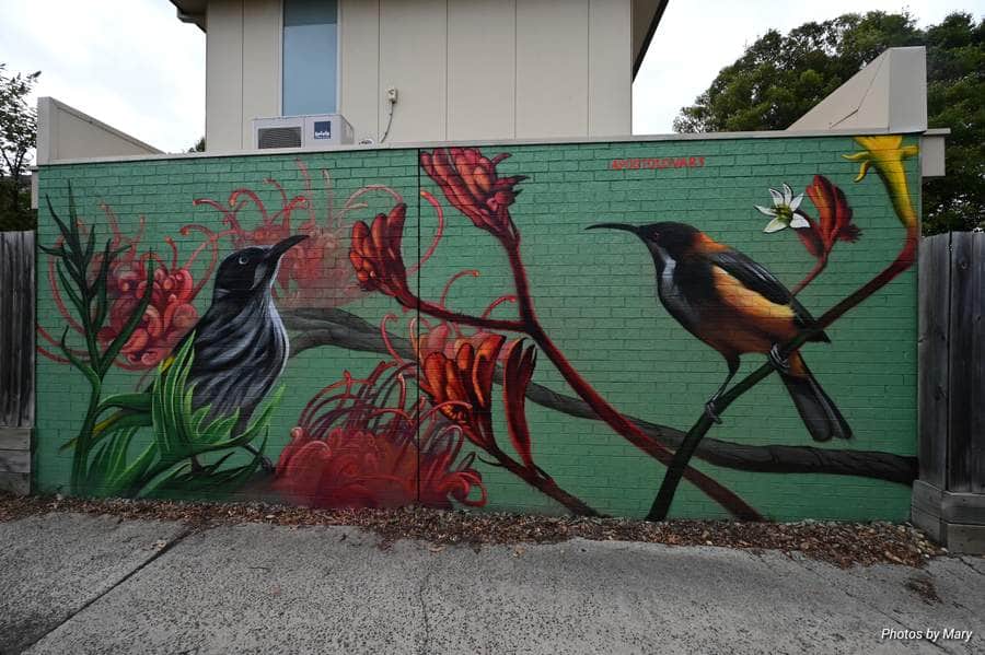 Untitled street art by Arina Apostolova in Melbourne