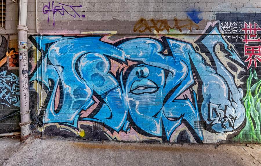 Untitled street art by Tanea in Melbourne