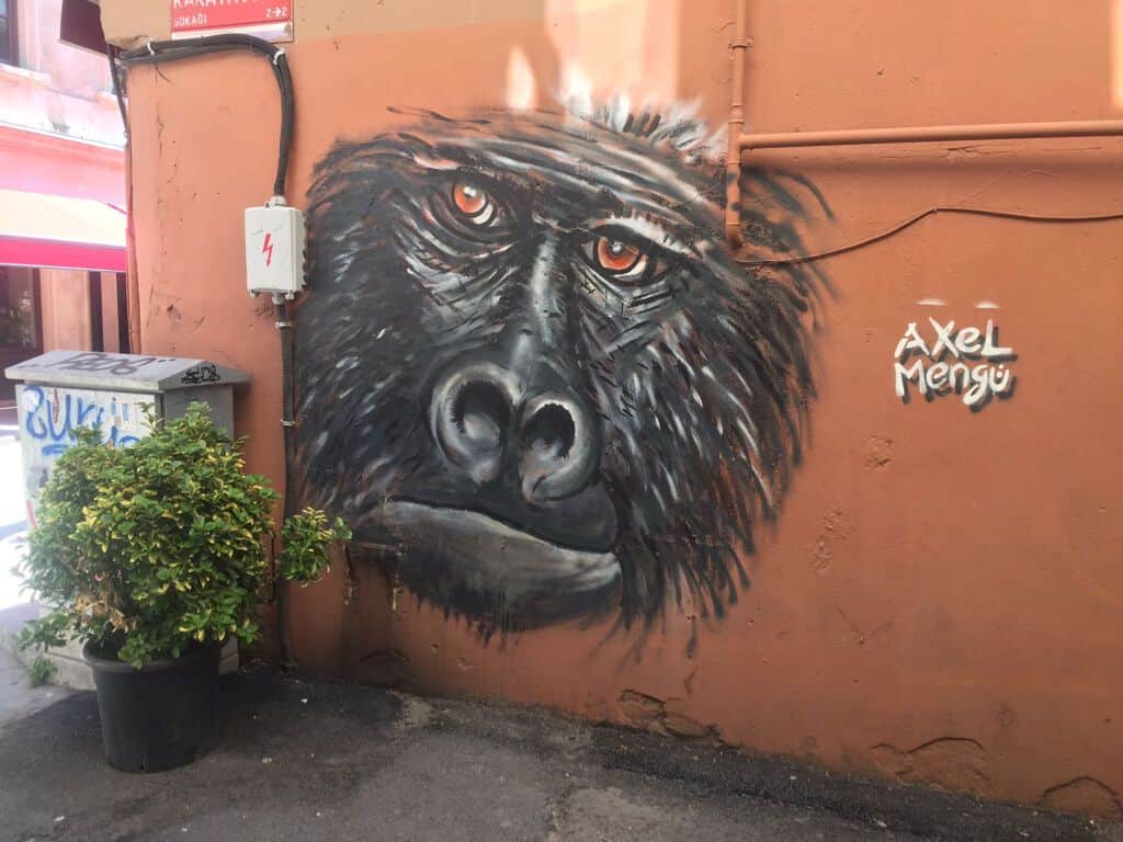 "Gorilla" by Axel Mengü in Istanbul