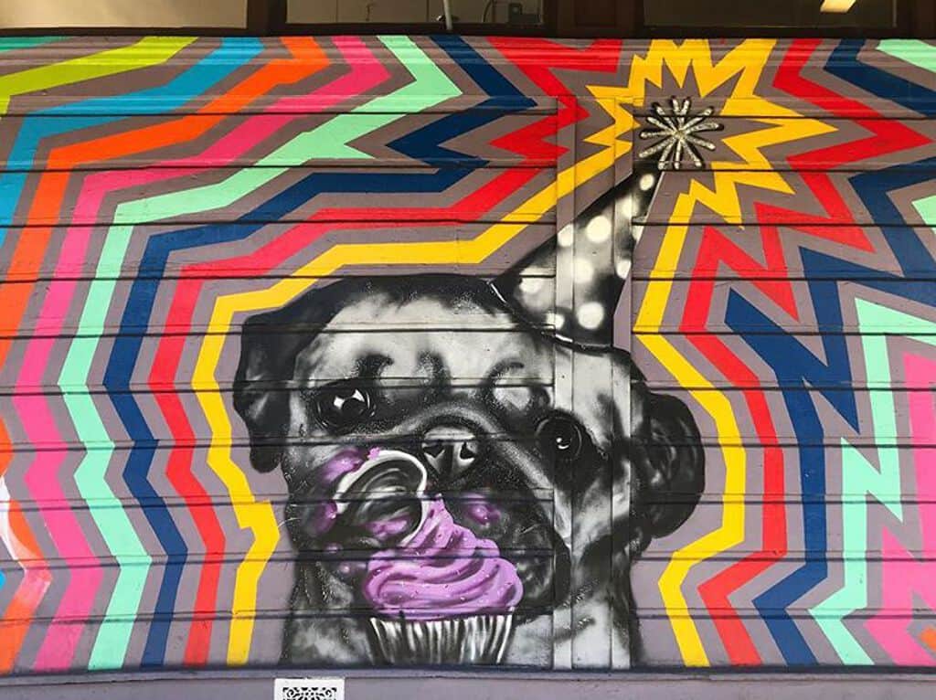 "Victoria Pastry Pug" in San Francisco