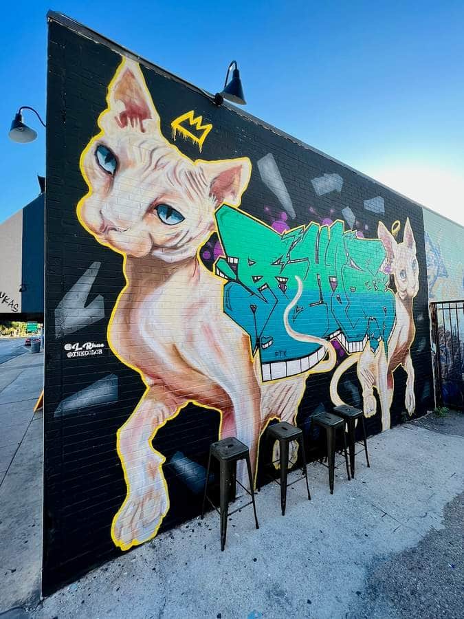 "Surreal Cat with Crown" by L Rhae in Austin