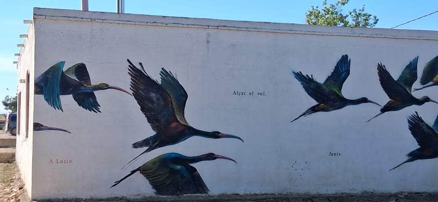"Alçar el vol. Junts" by dhos in Valencia