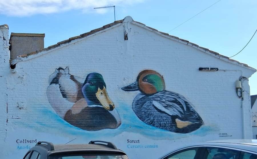 "Collver y Sarcet" by dhos in Valencia