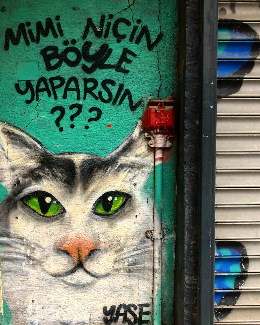 "Mimi" by Yase in Istanbul